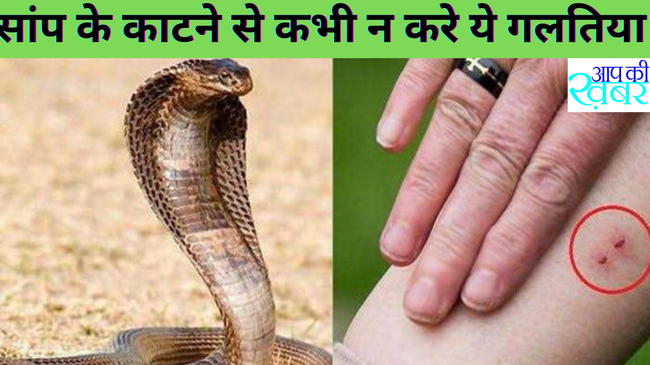 सांप के काटने पर क्या करें ?