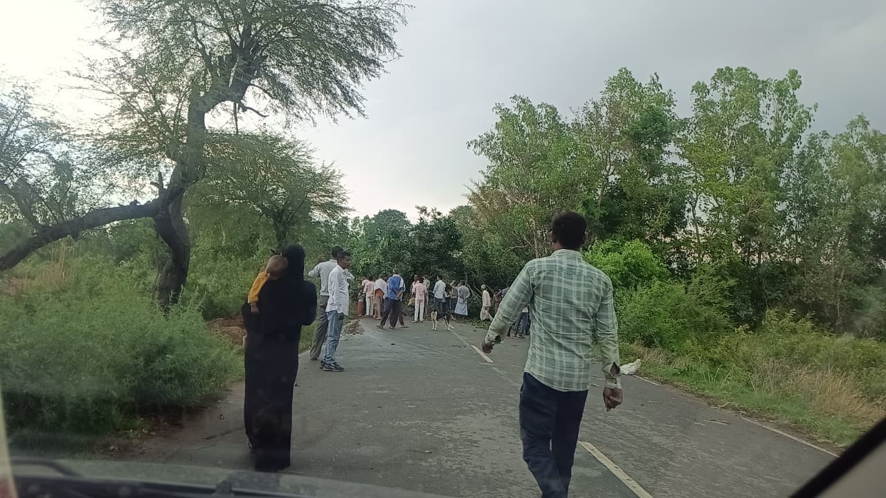 Storm wreaks havoc: Falling trees block several roads, tree falls on car, major accident averted