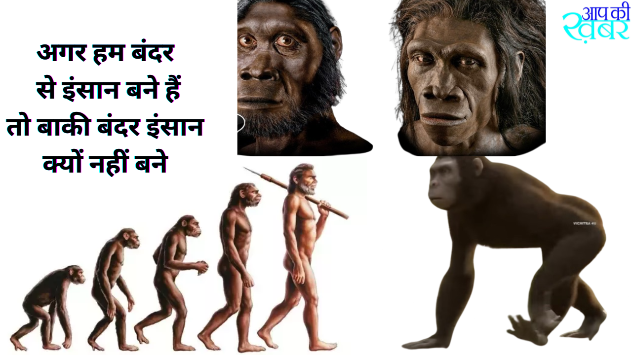Why didn't other monkeys evolve into humans? अगर हम बंदर से इंसान बने हैं तो बाकी बंदर इंसान क्यों नहीं बने