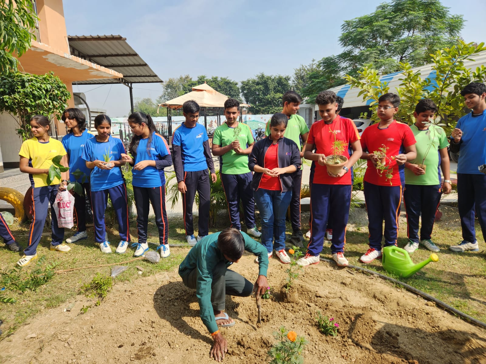 Seth jaipuria school tree plantation