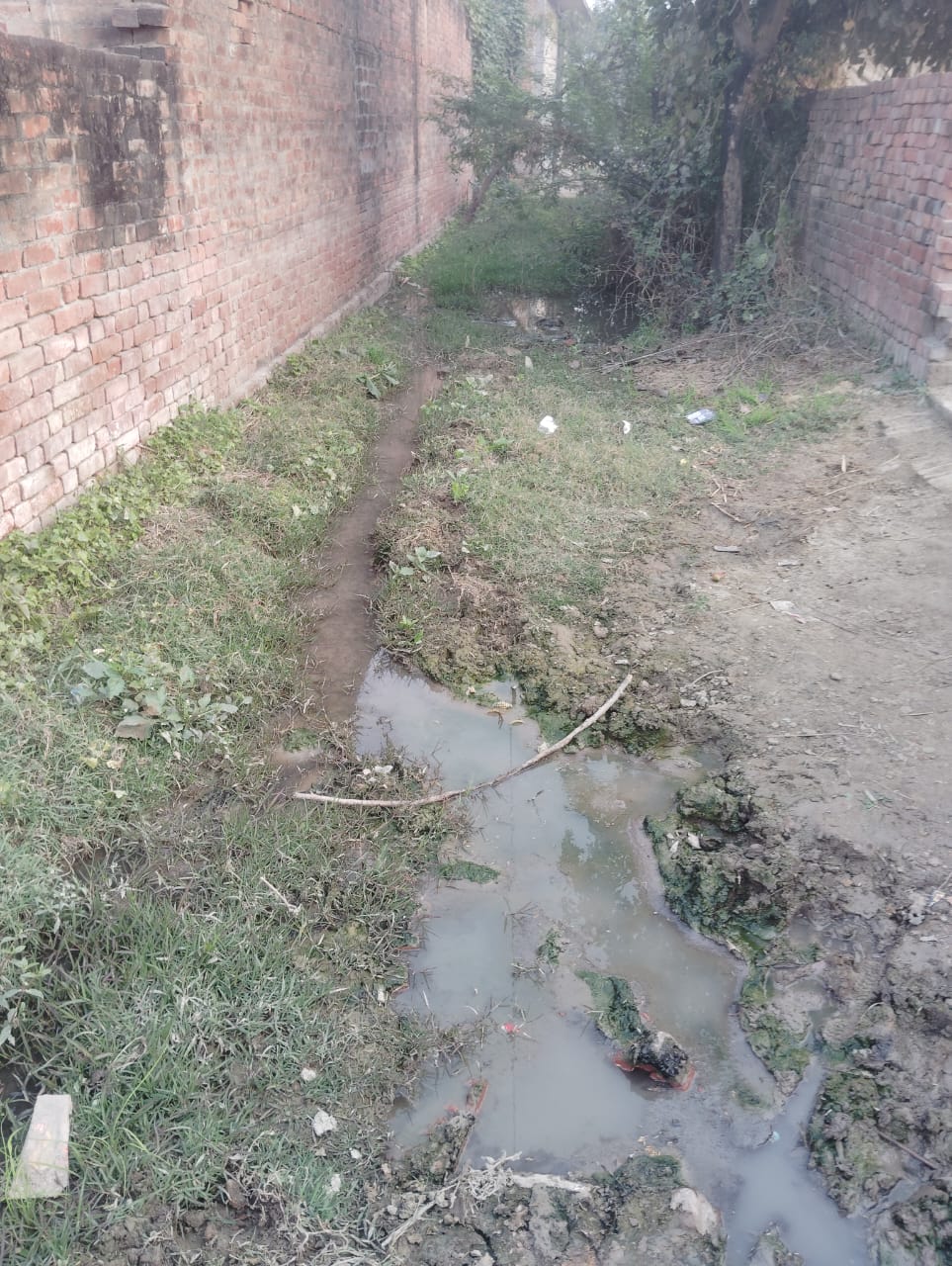 Dirty water flowing on the roads, villagers forced to walk in mud