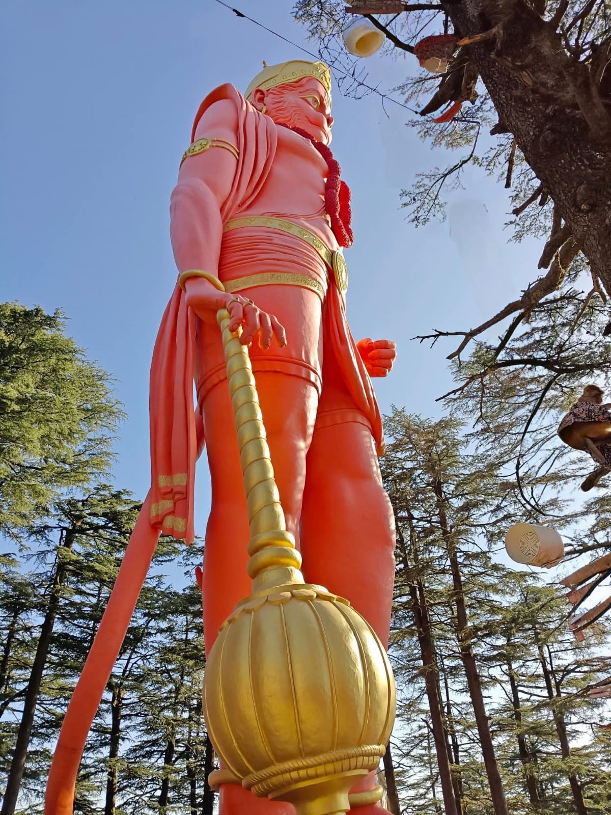 Jakhu Temple: 108 feet tall Hanumanji situated at an altitude of 8,000 feet