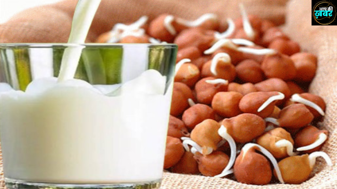 Dudh ke Sath  Chana Khane Se Kya Hota Hai : सुबह के समय दूध के साथ चना खाने के फायदे