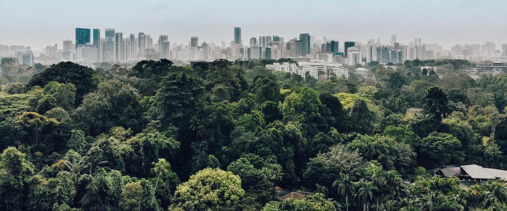 The blind race of development and increasing distance from nature is causing environmental imbalance.
