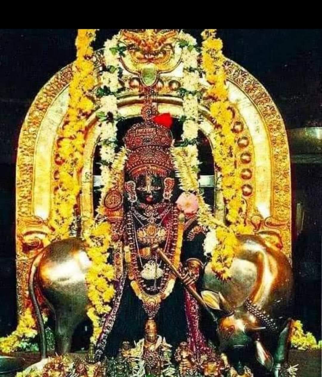 Sri Krishna Temple of Udupi : Amazing Darshan of Nandlal from the window