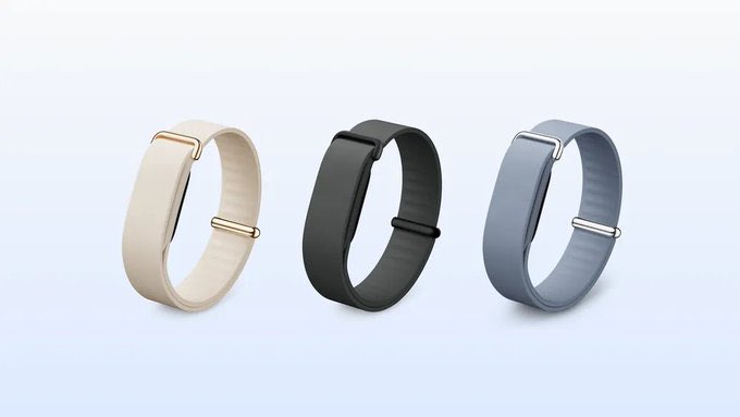 Google Fitbit Air Launch