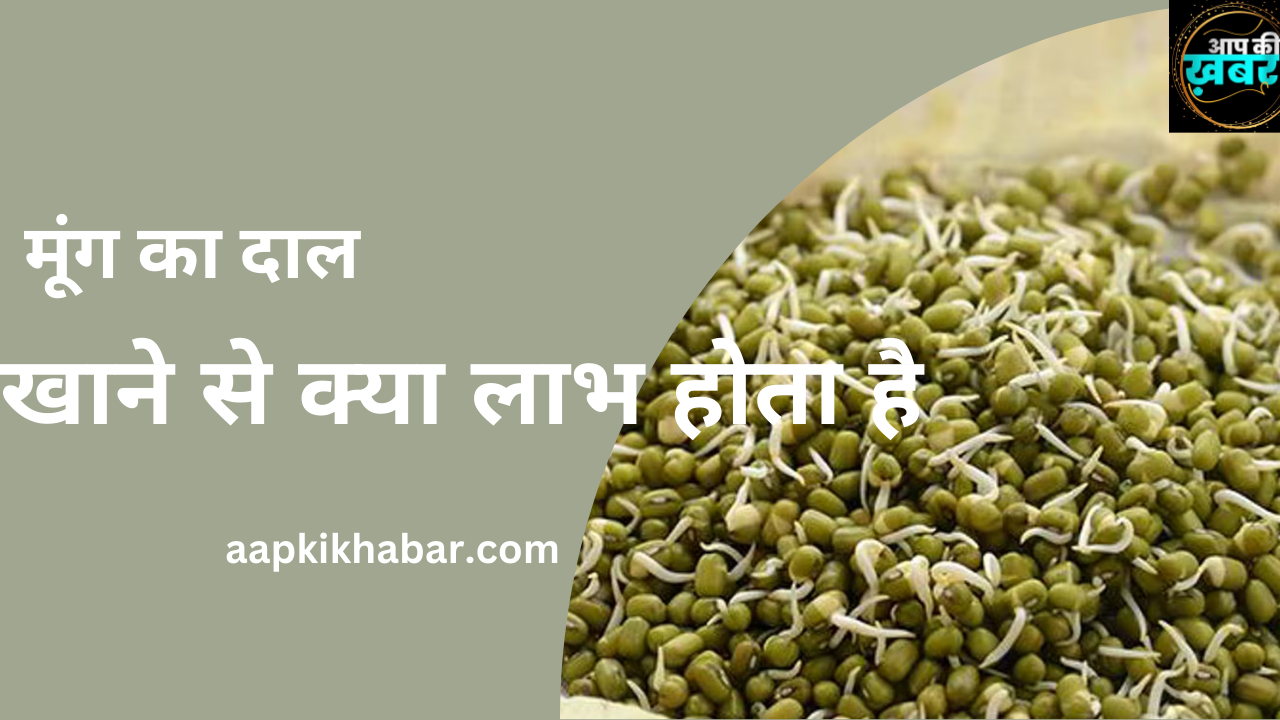 Moong Ki Daal Khane Ke Fayde&nbsp;:&nbsp;मूंग का दाल खाने से क्या लाभ होता है?
