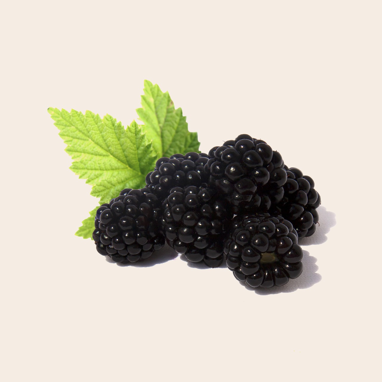Benefits Of Black Fruits Black Fruits Benefits Black Fruits Ke Fayde Black Fruits Name Black Fruits And Vegetables Immunity Boost Fruits Health News Health Tips