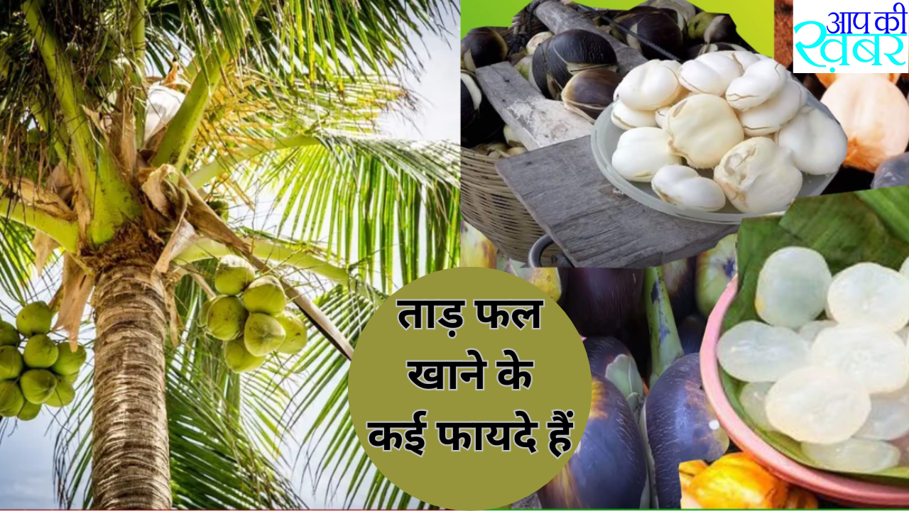 ताड़ फल खाने के कई फायदे हैं