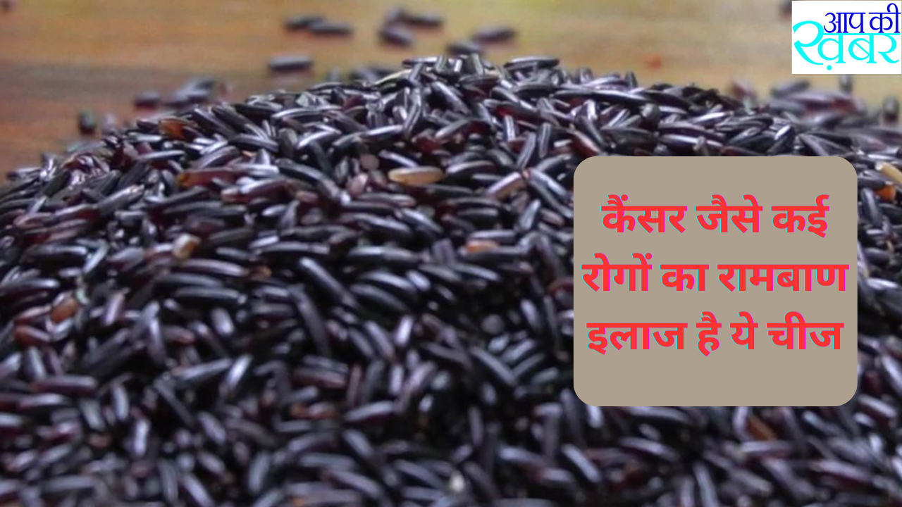 कैंसर जैसे कई रोगों का रामबाण इलाज है ये चीज 