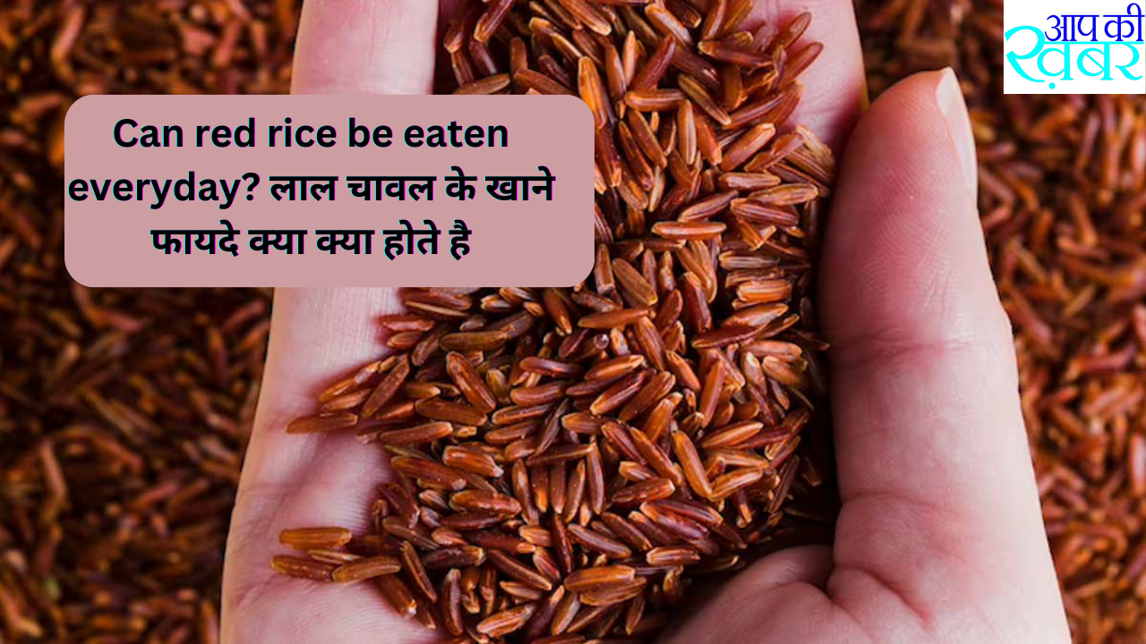 Red Rice Benefits - Can red rice be eaten everyday? लाल चावल के खाने फायदे क्या क्या होते है जानिए