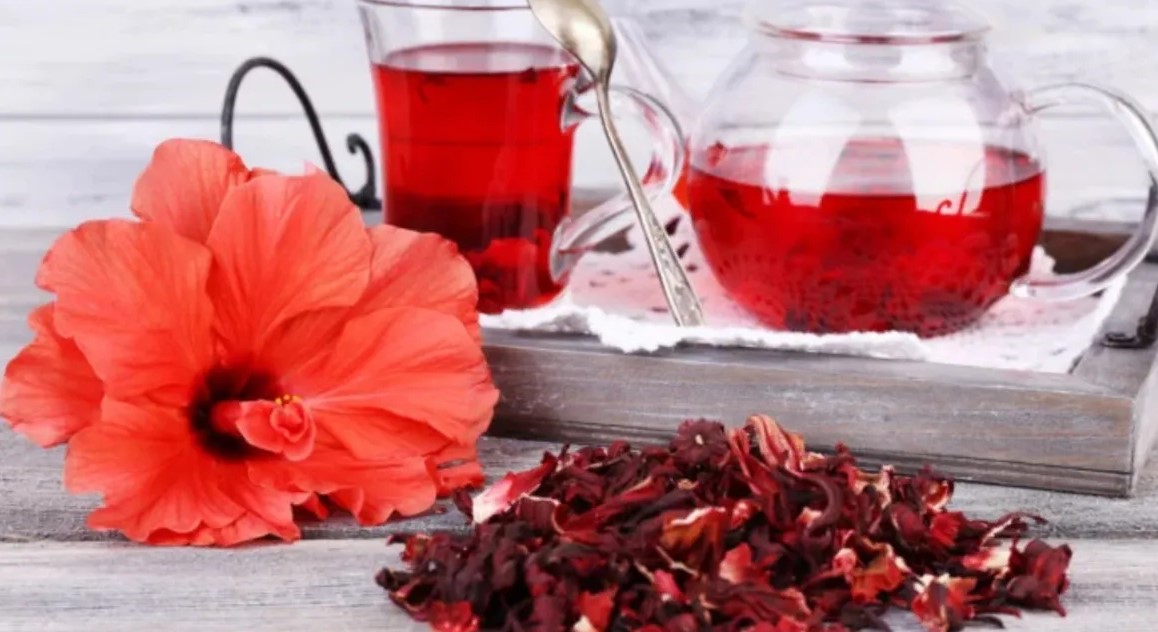 दूध वाली चाय छोड़ें, अपनाएं गुड़हल की चाय: वेट लॉस से लेकर हार्ट हेल्थ तक, शरीर के लिए है किसी 'वरदान' से कम नहीं