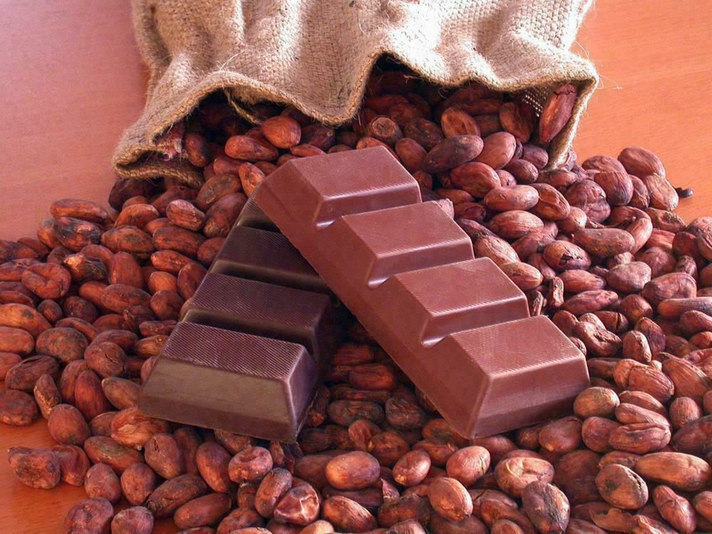 Kya Aapko Pata Hai Chocolate Kaise Banta Hai In Hindi 