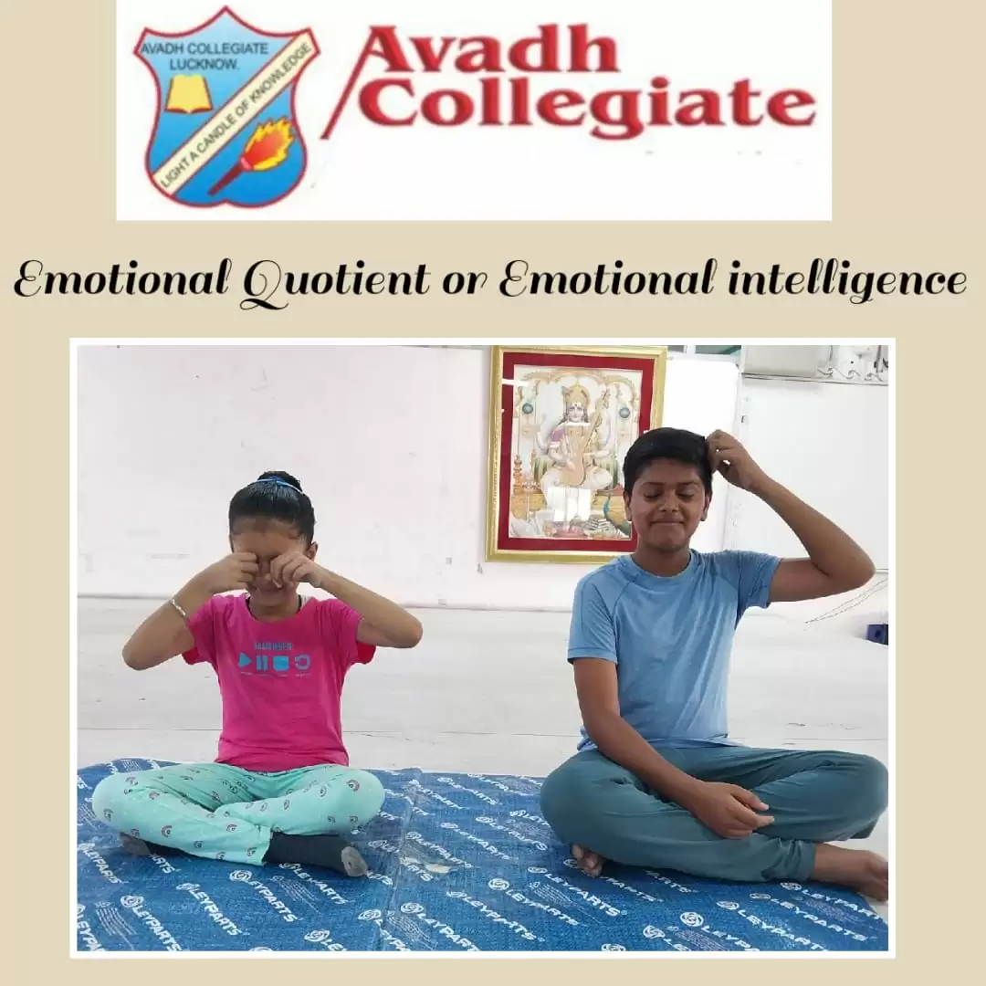 Awadh collegiate summer camp