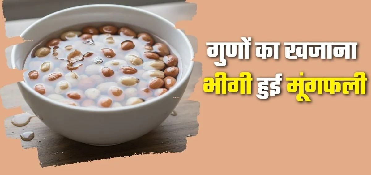गर्मियों में भीगी हुई मूंगफली खाने के 5 बेमिसाल फायदे: तासीर से लेकर पाचन तक सब रहेगा दुरुस्त