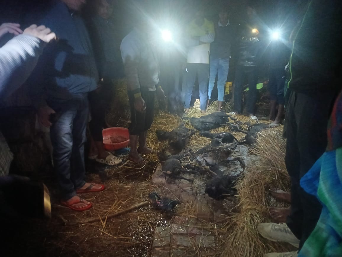 A residential hut caught fire due to unknown reasons, nine goats burnt alive.